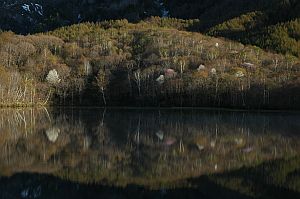 nagano_togakusi_kagamiike_kobusisakura_n.jpg